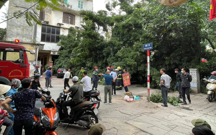 Hà Nội: Cây xanh tươi tốt bất ngờ bật gốc đè lên ô tô con đang lưu thông trên đường Ảnh 2