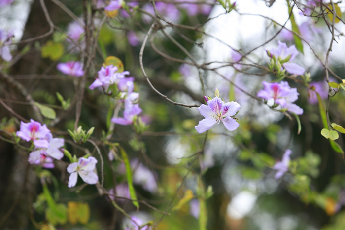 (Ảnh minh hoạ: Internet)