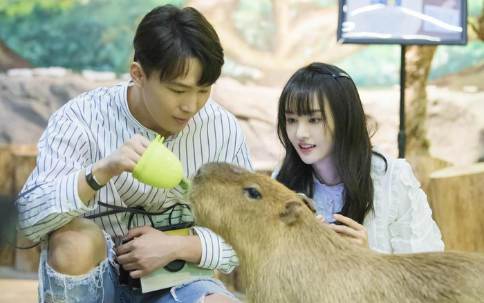 Trương Hằng phủ nhận đem con ra 'đánh bóng' bản thân, ám chỉ Trịnh Sảng giở trò hãm hại mình Ảnh 2