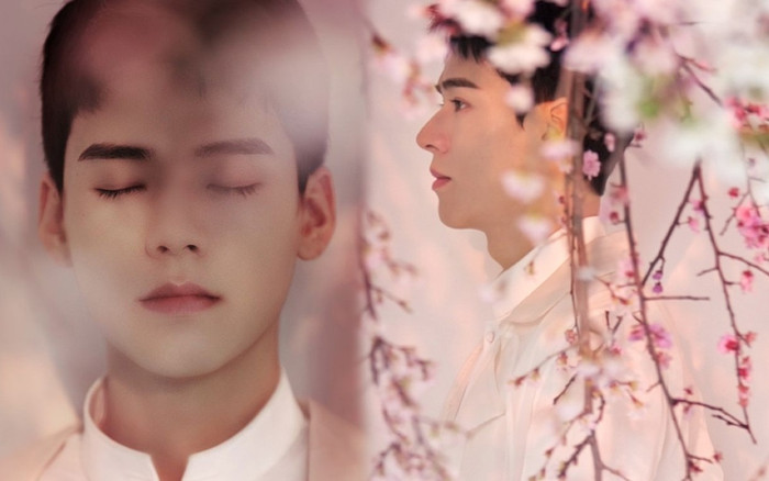 Cung Tuấn gặp vận đen như Tiêu Chiến, bị anti-fan xoay đến chóng mặt Ảnh 2