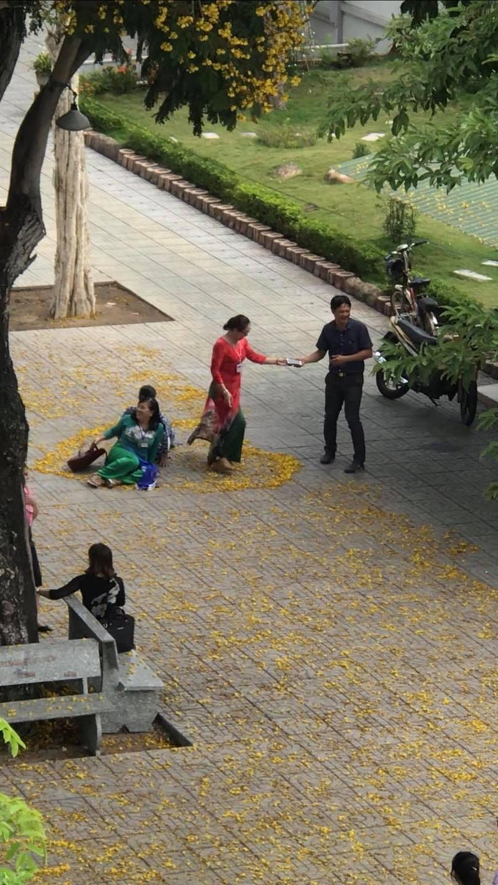 Sân trường vào mùa hoa rụng, thầy cô giáo hồ hởi 'sống ảo' khiến giới học trò vô cùng thích thú Ảnh 1