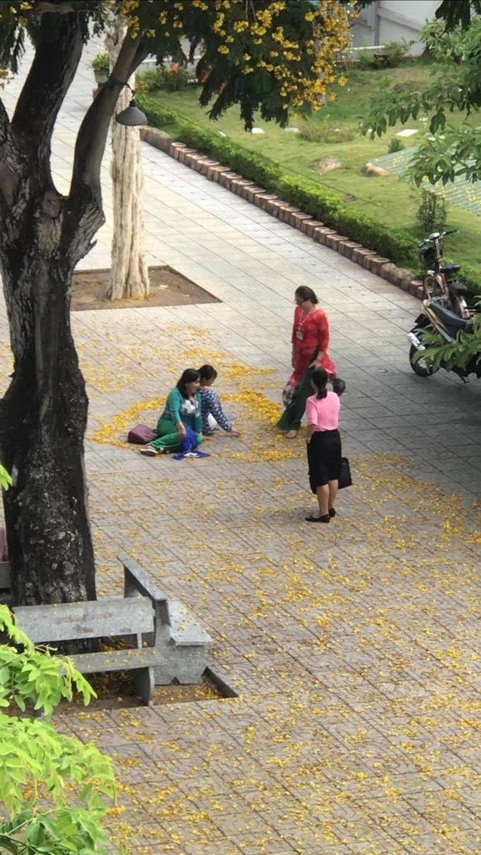 Thầy cô thoải mái tạo dáng chụp ảnh cho nhau giữa khung cảnh đẹp ở trường. Ảnh: Nguyễn Hoàng Kim/ Group Trường Người Ta