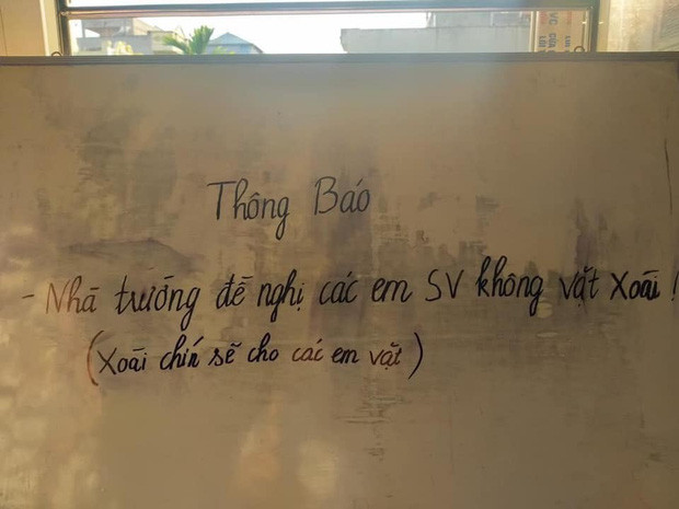 Nhà trường ra thông báo đề nghị không vặt xoài xanh, phản ứng của sinh viên khiến dân tình cười ngất Ảnh 1