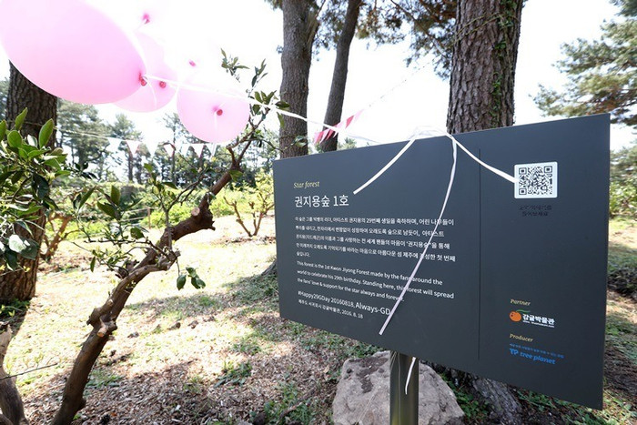 8 món quà khó quên nhất mà người hâm mộ từng tặng cho thần tượng Ảnh 10