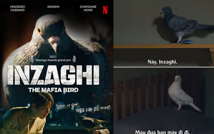 'Vincenzo': Một câu chuyện cảm động có thật về tình bạn sâu sắc giữa Mafia và Bồ Câu Ảnh 2