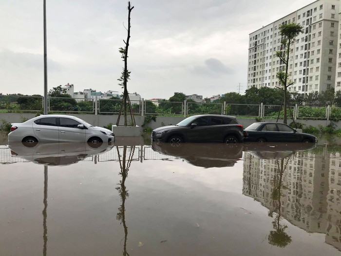 Những chiếc xe để qua đêm không kịp di chuyển đến vị trí khác.