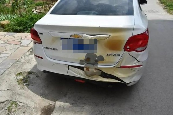 Cha mẹ cậu bé đã phải bồi thường khoản tiền lớn do con trai gây ra.