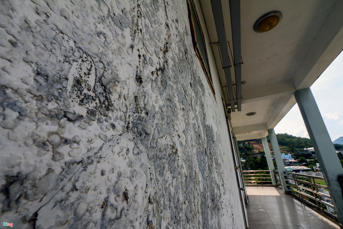 Rêu bám đầy tường của khu nhà ký túc xá, nhiều vị trí bị dột, sơn tường bong tróc. 