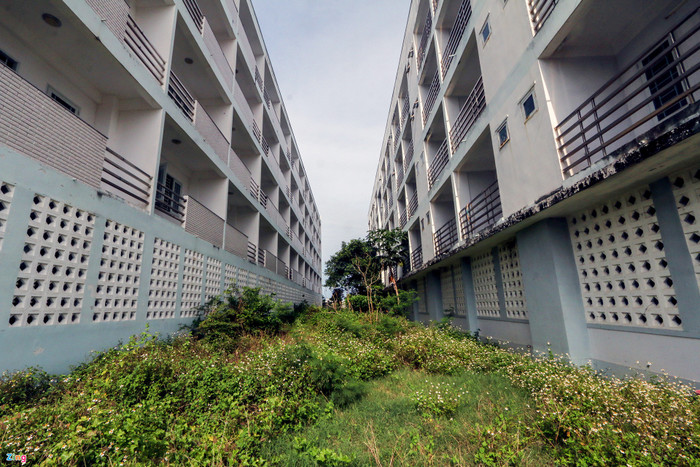 Cỏ dại mọc um tùm trong khu ký túc xá. 'Chúng tôi cũng dọn dẹp nhưng không xuể, khi nào cây cỏ tốt quá thì dọn một lần vì không đủ sức dọn liên tục cho sạch được', ông Tâm, bảo vệ khu nhà cho biết.