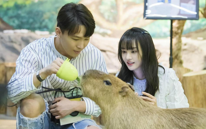 'Chơi dại' khi tố tình cũ trốn thuế, cả Trương Hằng lẫn Trịnh Sảng đều có nguy cơ ngồi tù 7 năm Ảnh 2