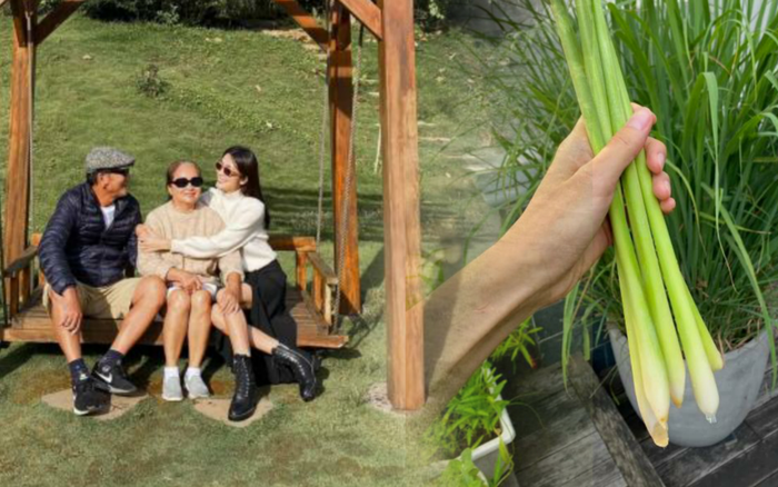 Sáng 30/4, Hà Tăng khoe được bố mẹ cưng chiều nhất mực Ảnh 2