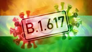 Giải mã B.1.617 – biến thể Covid-19 đang 'nhấn chìm' cả Ấn Độ Ảnh 3