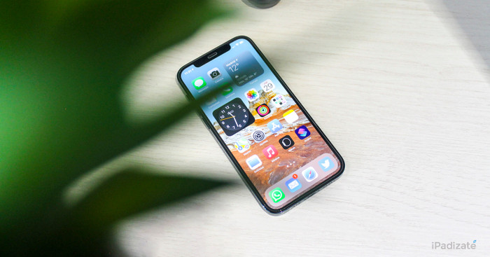 (Ảnh minh hoạ: iPadizate)