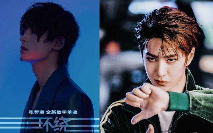 'Surround' của Trương Triết Hạn thua xa kỉ lục của Vương Nhất Bác: Chỉ là 'hàng giả'? Ảnh 2