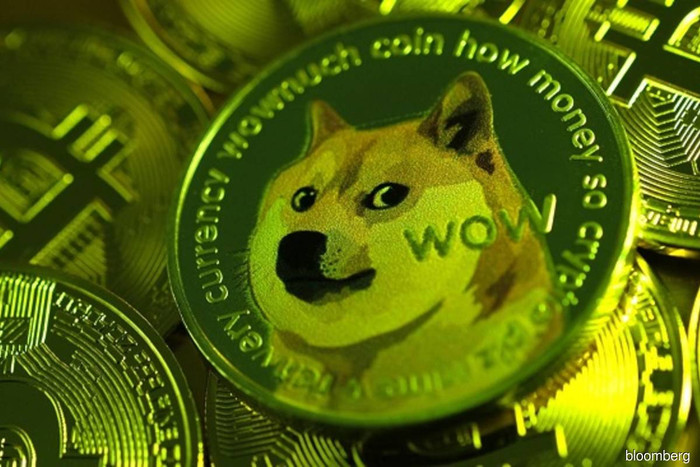 Giám đốc nhà băng lớn nhất nước Mỹ nghỉ việc sau khi thắng lớn nhờ Dogecoin Ảnh 4