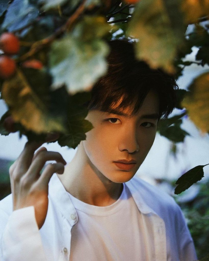 Trương Triết Hạn, Bạch Kính Đình 'rượt đuổi' sát nút trên BXH Netease Music Ảnh 10