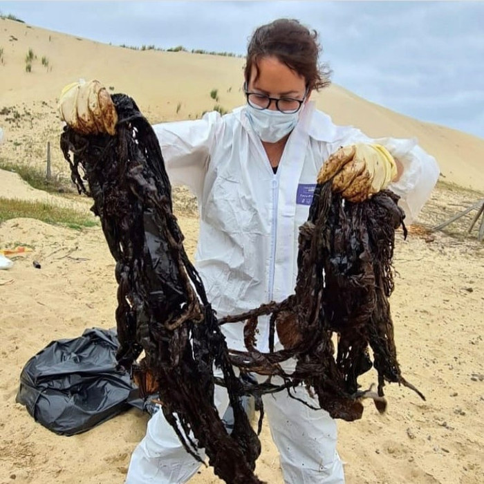 Rác được tìm thấy từ bụng cá voi (Ảnh: Itsas Arima)