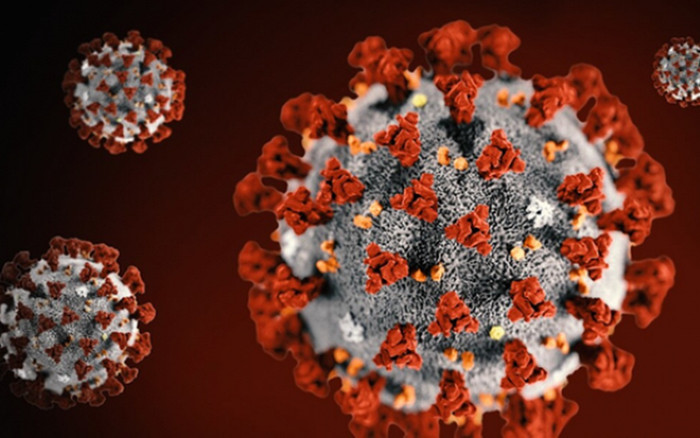 Thụy Sĩ phát hiện điểm yếu quan trọng của virus SARS-CoV-2 Ảnh 2