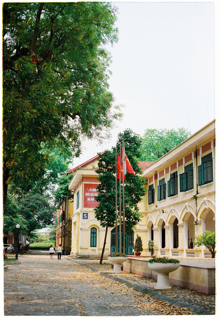 Khu nhà S tắm nắng cùng thảm lá vàng. 'Mùa lá rơi đẹp nhất mà mình lại lỡ hẹn, vì bận ôn thi từ Duyên hải đến thi học kì, cuối mùa mới chụp vội được bức ảnh. Giờ nghĩ lại cứ tiếc mãi, tiếc lắm, giá như lúc ấy bớt vội hơn, ngắm Chu nhiều hơn', Ngân Hà chia sẻ.