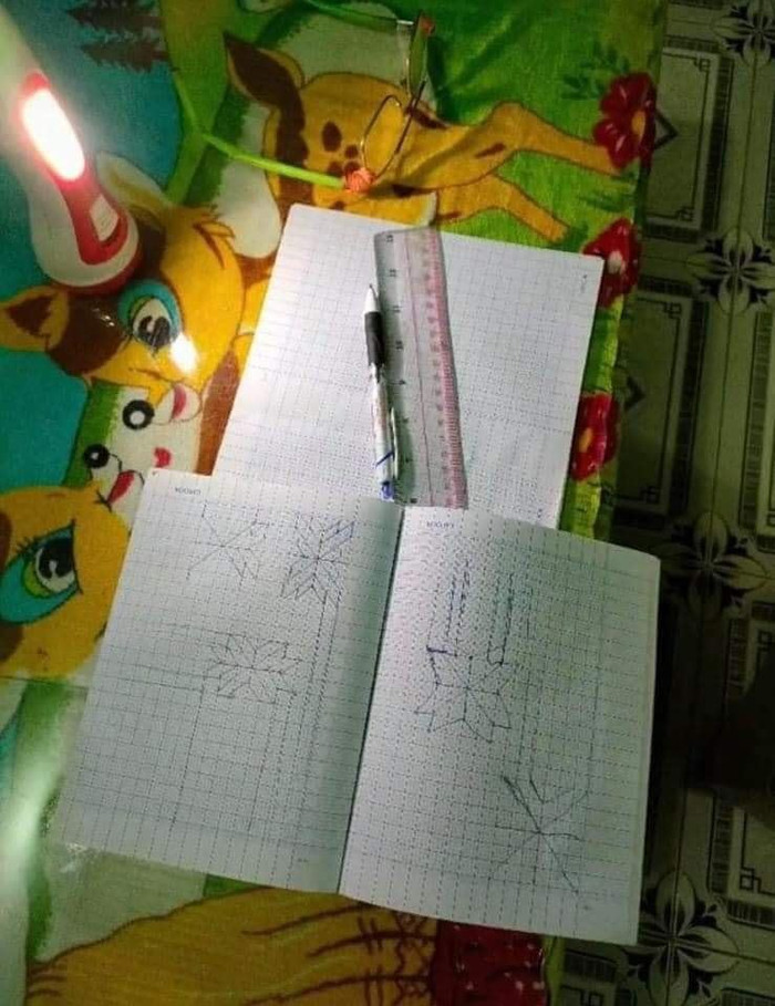 Thương cháu gái không có giấy khen, ông nội tự tay làm món quà đặc biệt: Tấm bằng giá trị nhất là đây! Ảnh 2