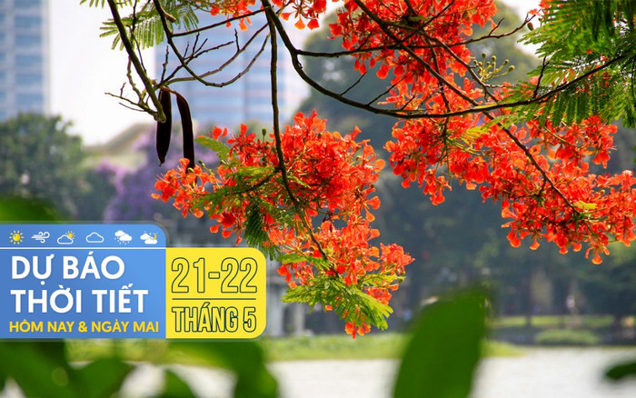 Dự báo thời tiết hôm nay và ngày mai 21-22/5: Hà Nội tiếp tục nắng nóng, TPHCM mưa dông rải rác Ảnh 2