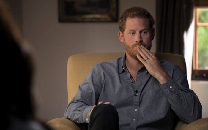 Harry tiếp tục kể khổ, công kích gia đình hoàng tộc trong phim tài liệu mới Ảnh 2