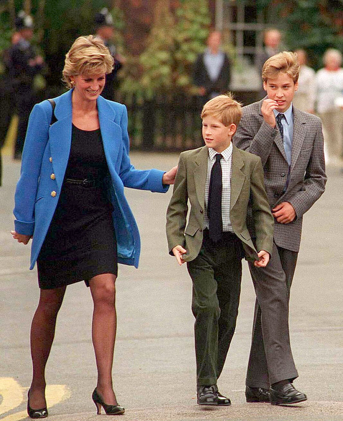 Cuộc gọi điện cuối cùng của William và Harry với mẹ, cố Công nương Diana khiến hai anh em mãi day dứt Ảnh 2