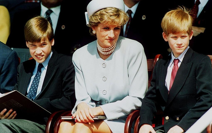 Cuộc gọi điện cuối cùng của William và Harry với mẹ, cố Công nương Diana khiến hai anh em mãi day dứt Ảnh 2