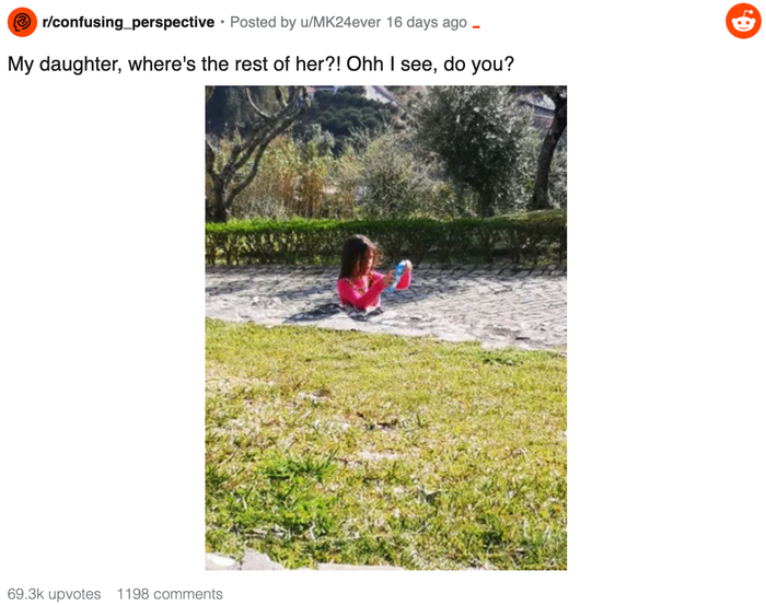 (Ảnh chụp màn hình / MK24ever/Reddit)