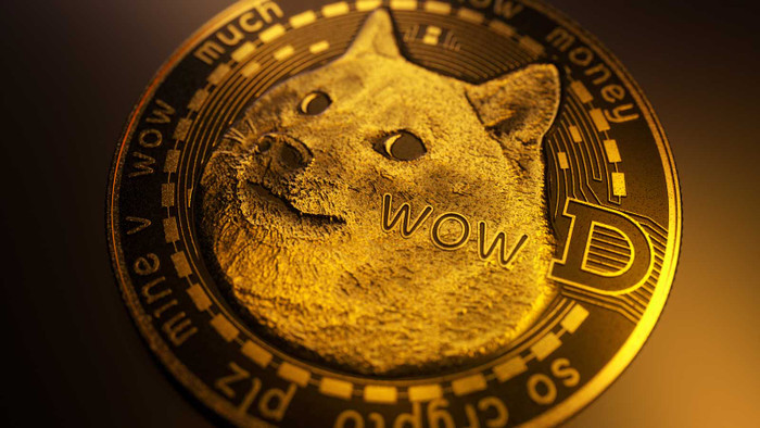 Bất ngờ về danh tính của 'cá mập' sở hữu 12 tỷ USD Dogecoin Ảnh 2