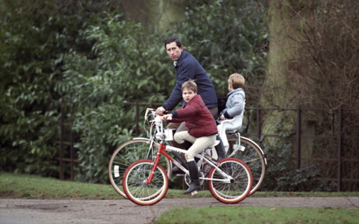 Harry bẽ bàng vì bị 'lật tẩy' sau loạt phát ngôn công kích Thái tử Charles Ảnh 2