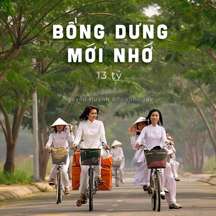 CEO Nguyễn Phương Hằng và hàng loạt sao Việt lên poster phim Ảnh 7