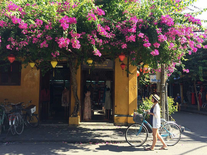 (Ảnh minh hoạ: Internet)