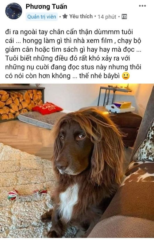 Bài đăng của Jack.