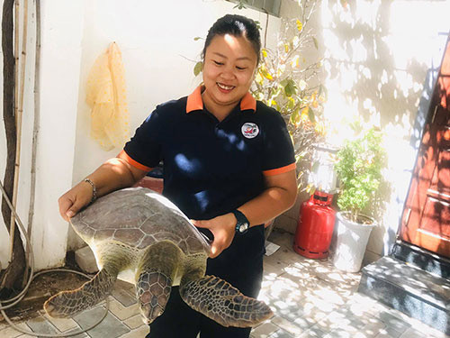 'Bóng hồng' duy nhất trên đảo Hòn Cau: Dành cả thanh xuân để đi theo dấu chân rùa biển Ảnh 2