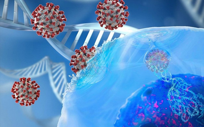 Việt Nam xuất hiện chủng mới lai tạo của virus SARS-CoV-2, lây nhanh và phát tán rộng trong không khí Ảnh 2