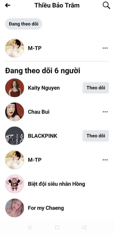 Bao gồm trang M-TP của Sơn Tùng, BlackPink, Kaity Nguyễn, Châu Bùi và 2 fanpage về Lisa – Rosé.