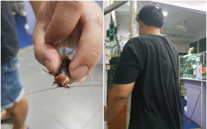 Nhìn thấy con gián bị giẫm bên lề đường, người đàn ông có hành động 'không thể tin nổi' Ảnh 2