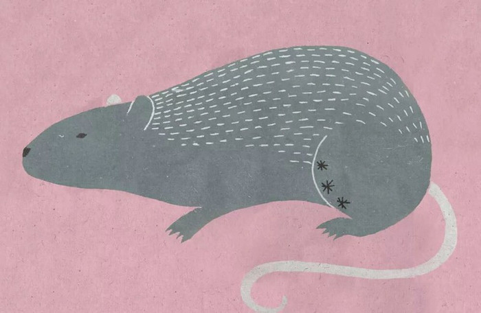 Xem tử vi thứ4 ngày2/6/2021 của 12 con giáp chothấy, vận trình công việc của Tý thăng tiến.