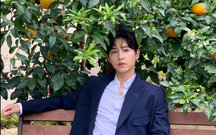 Ánh mắt đa tình của Song Joong Ki khiến nhiều người 'lụi tim' Ảnh 2