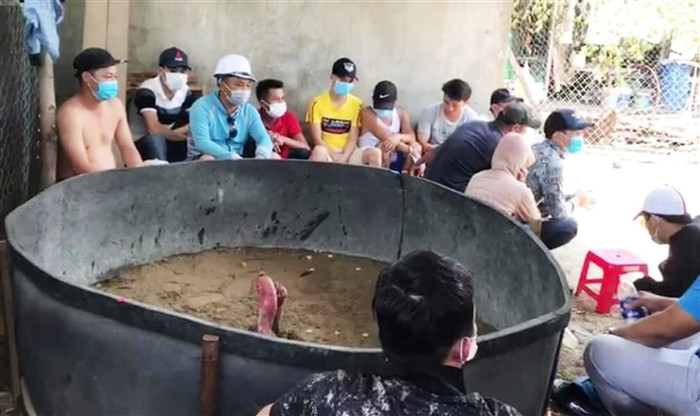 Nhóm người tụ tập đá gà giữa mùa dịch COVID-19. Ảnh: VTC News