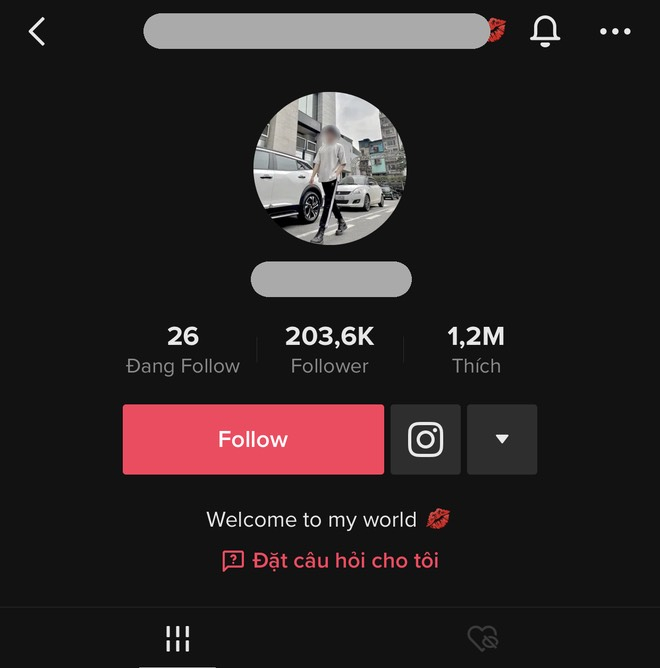 Dân tình kêu gọi bài trừ những tài khoản TikTok 'phản cảm' này.