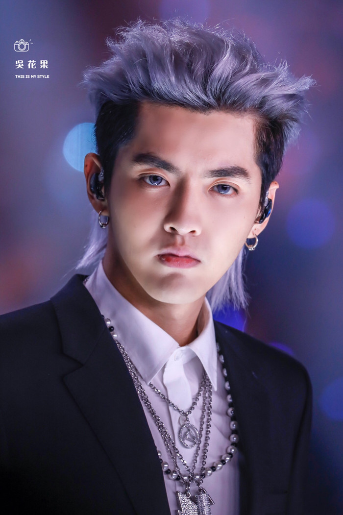 Là 'truyền nhân' của La Chí Tường, liệu Ngô Diệc Phàm có bị tẩy chay? Ảnh 10