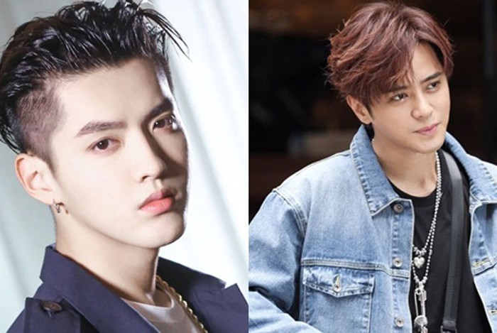 Là 'truyền nhân' của La Chí Tường, liệu Ngô Diệc Phàm có bị tẩy chay? Ảnh 24