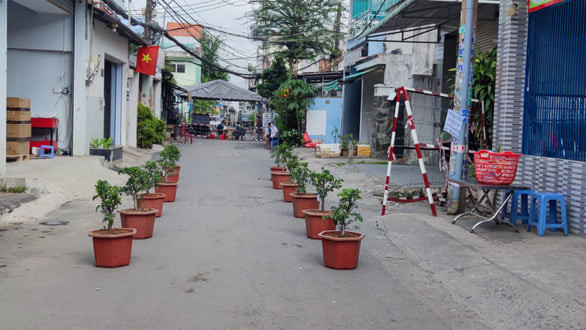 'Cây táo nở hoa' phiên bản đời thực: Mỗi hộ dân trong khu vực cách ly được phát cây táo để trồng Ảnh 2