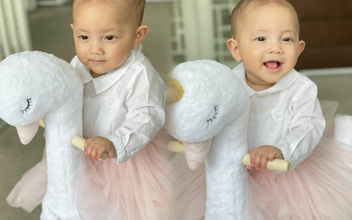 Đăng ảnh bé Lisa cưỡi thiên nga xinh xắn, trang cá nhân nhận ngay 'bão like' từ fan hâm mộ Ảnh 2