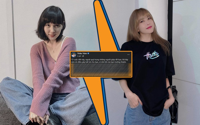 Thiều Bảo Trâm đăng status 'cảm ơn điều gây bất lợi', dân mạng tranh cãi đang 'đá xéo' Hải Tú? Ảnh 2