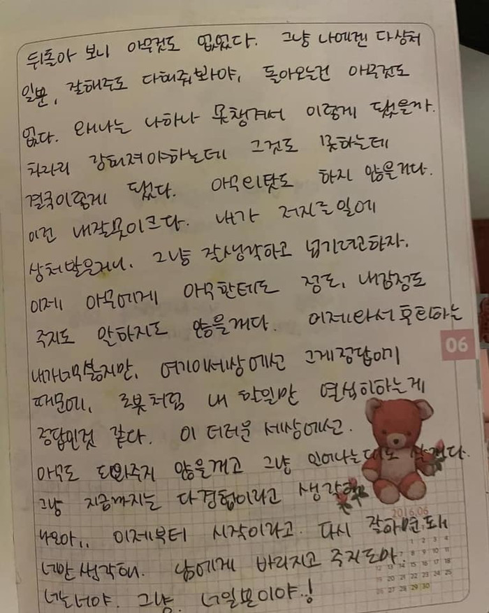 Những trang nhật ký do Lee Naeun viết.