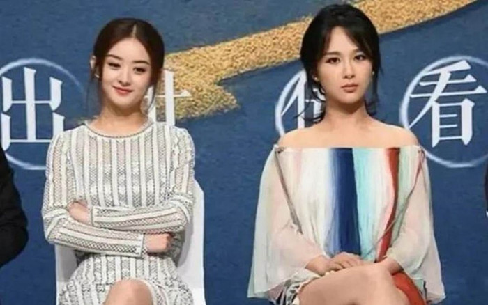 Từng bị Triệu Lệ Dĩnh 'bơ đẹp', những oan ức của Dương Tử trong giới giải trí đều là sự thật? Ảnh 2