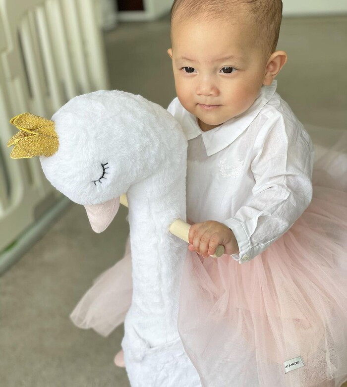 Đăng ảnh bé Lisa cưỡi thiên nga xinh xắn, Hồ Ngọc Hà nhận ngay 'bão like' từ fan hâm mộ.